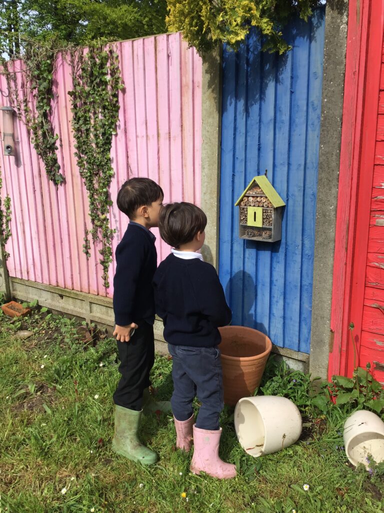 Windlesham House Year 2 research habitats